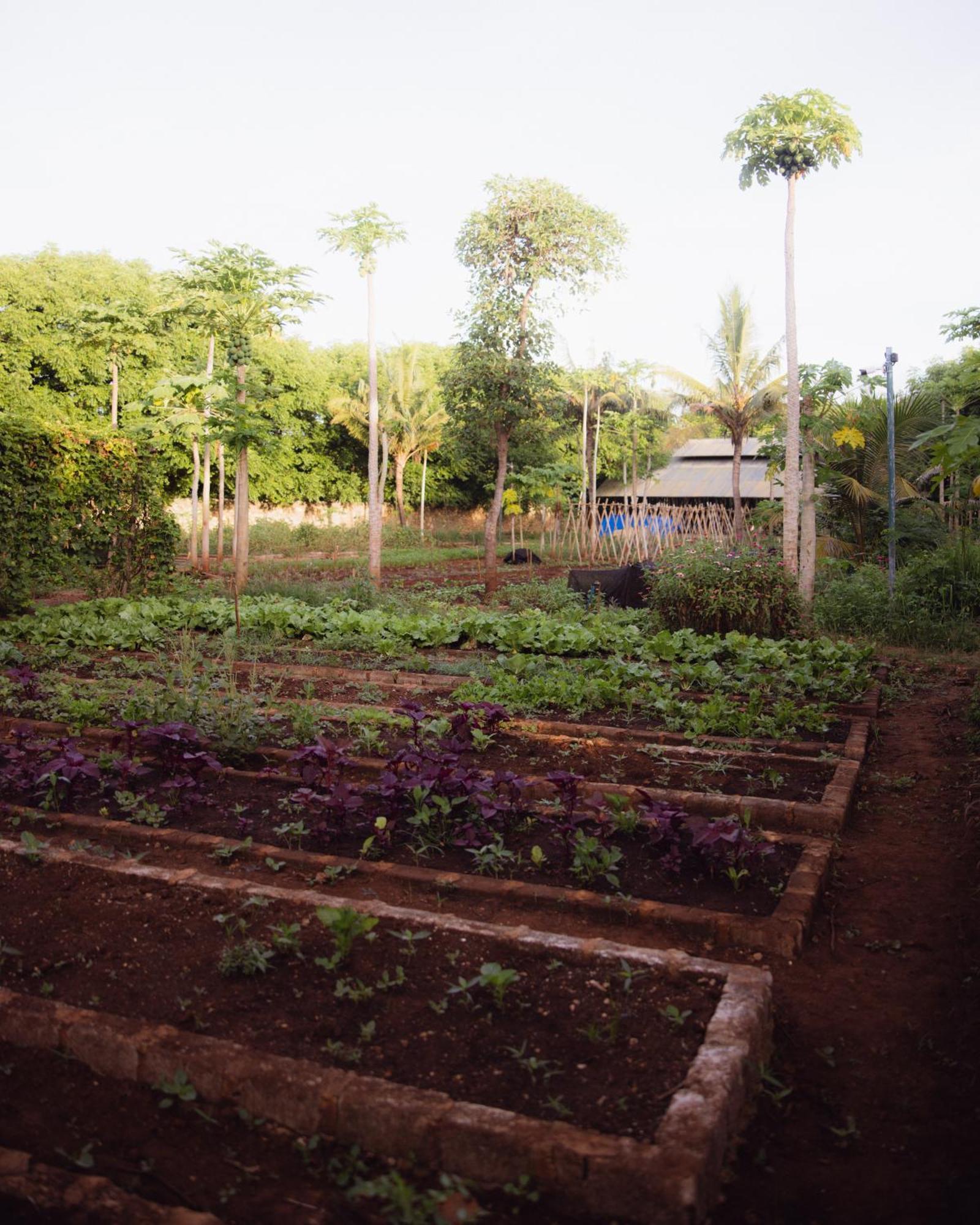 Maringi Sumba By The Sumba Hospitality Foundation Waikelo Εξωτερικό φωτογραφία
